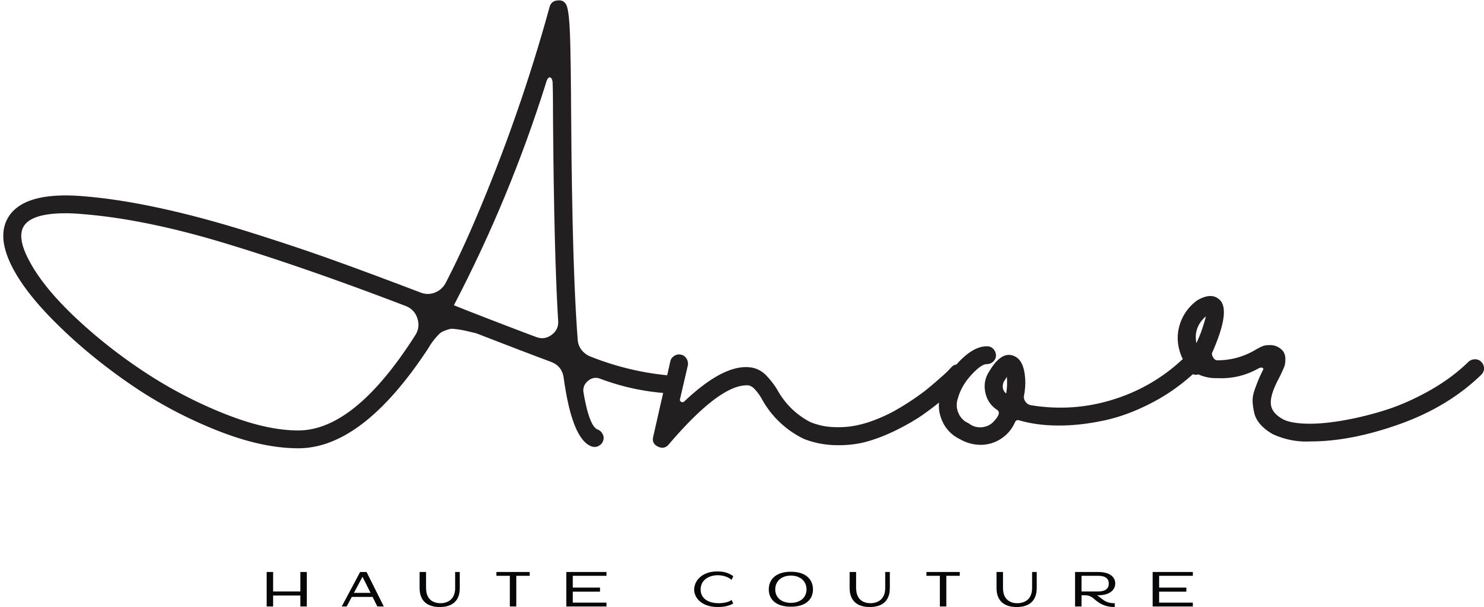 Anor_HC_logo
